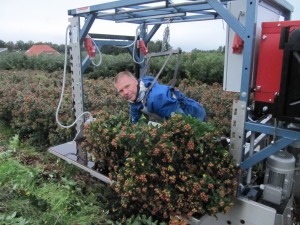 Oogst van de Tropical Fall